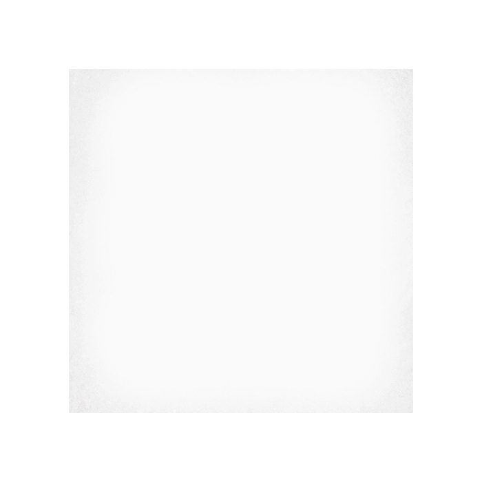 Vives 1900 Blanco Płytka Podłogowa 20x20
