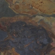 GAMBINI BET INDIAN SUMMER RET. 60x60
