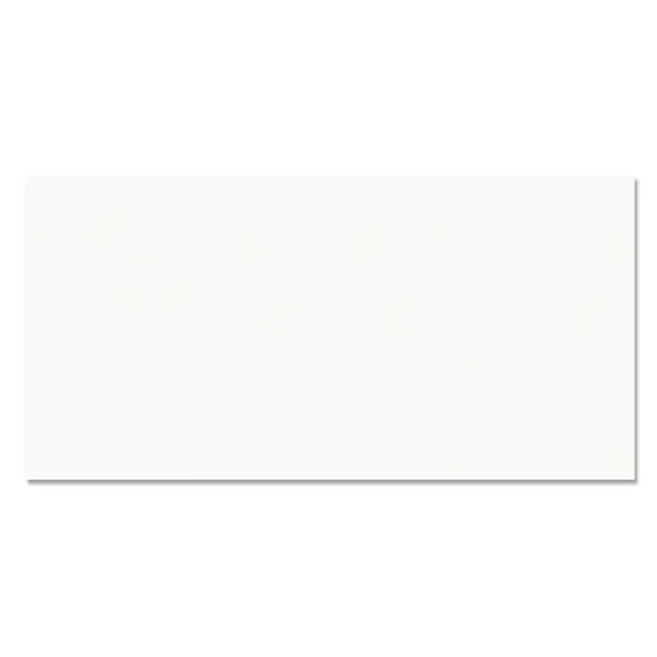 BALDOCER WHITE MATT RECT. ( BLANCO NAT. ) 60x120