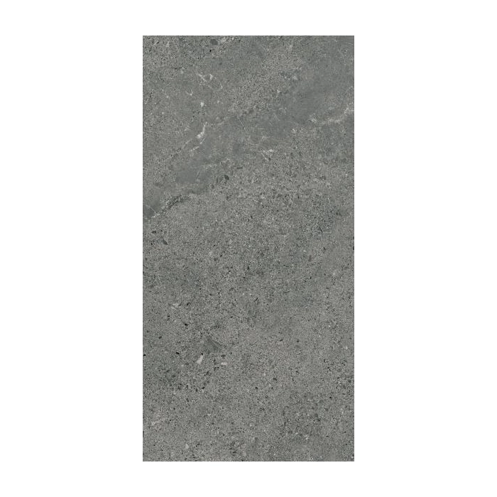 Paradyż Autrim Graphite Mat 29,8x59,8