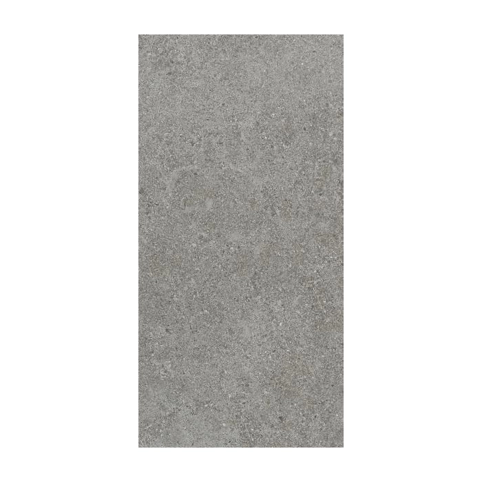 Paradyż Autrim Grey Mat 29,8x59,8