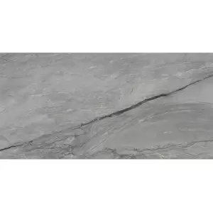 ROCA MARBLE PLATINUM GRIS 60x120 FCIR054021