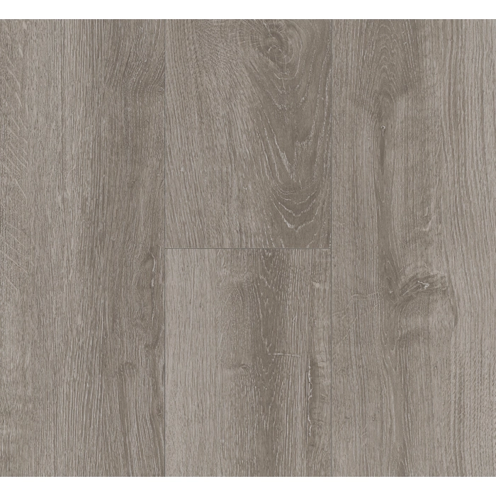 Parador panel laminowany BASIC 400 (4V) dąb świetlisty szary 1426530