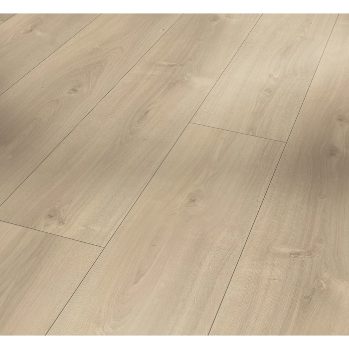 Parador panel laminowany Trendtime 6 (4V) dąb avant szlifowany 1567467