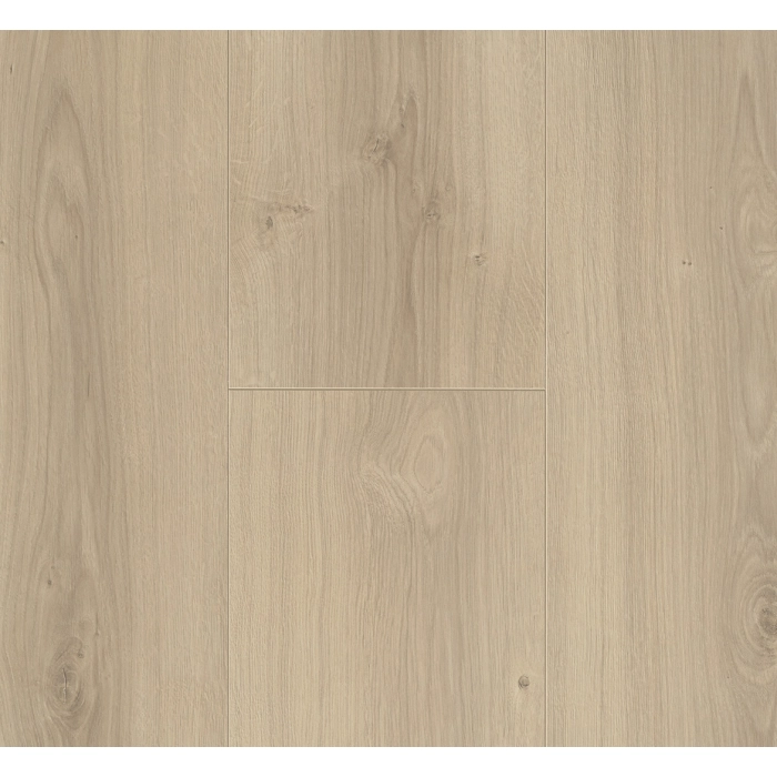 Parador panel laminowany Trendtime 6 (4V) dąb avant szlifowany 1567467