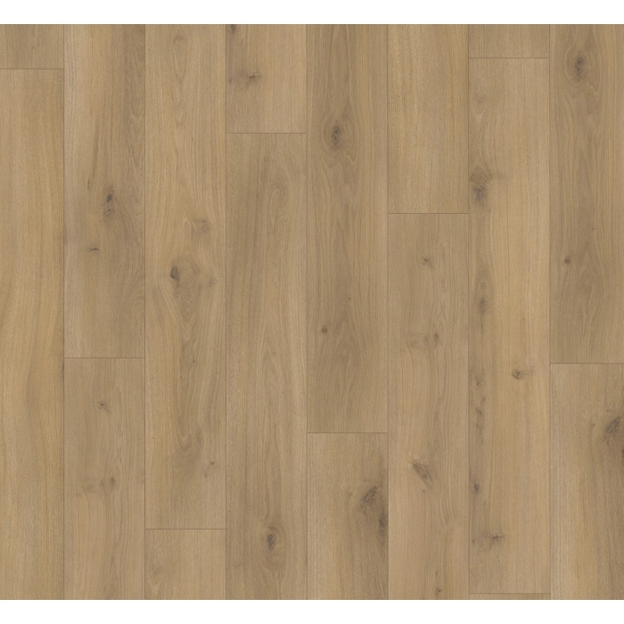Parador panel laminowany BASIC 400 (4V) dąb horizont naturalny 1593797
