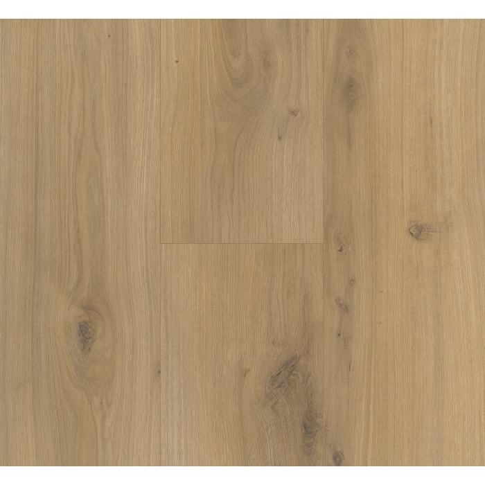 Parador panel laminowany BASIC 400 (4V) dąb horizont naturalny 1593797