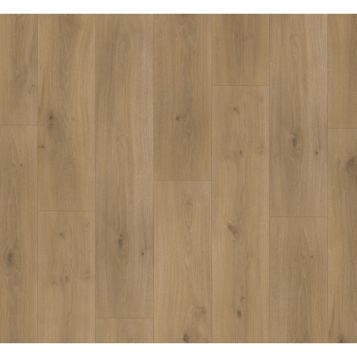 Parador panel laminowany BASIC 600 (4V) dąb horizont naturalny 1593845