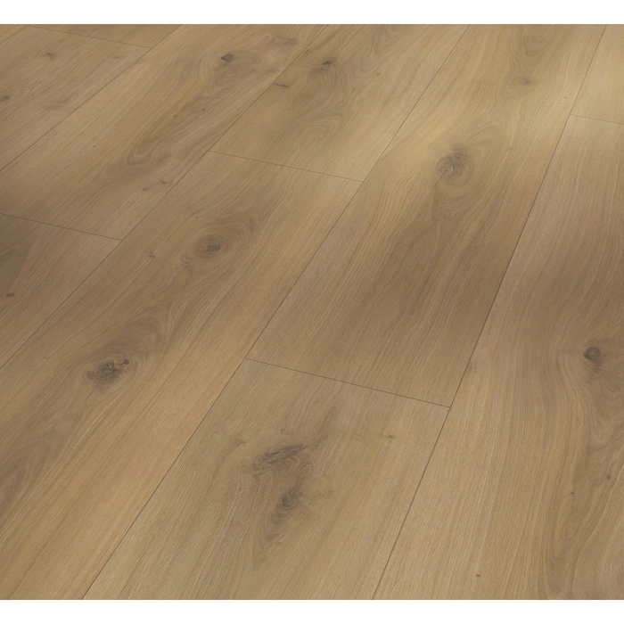 Parador panel laminowany BASIC 600 (4V) dąb horizont naturalny 1593845