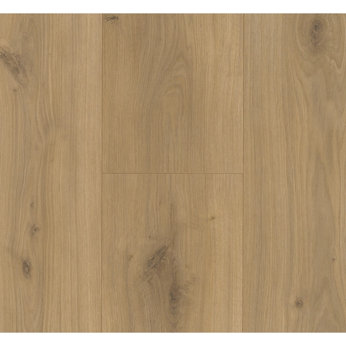 Parador panel laminowany BASIC 600 (4V) dąb horizont naturalny 1593845