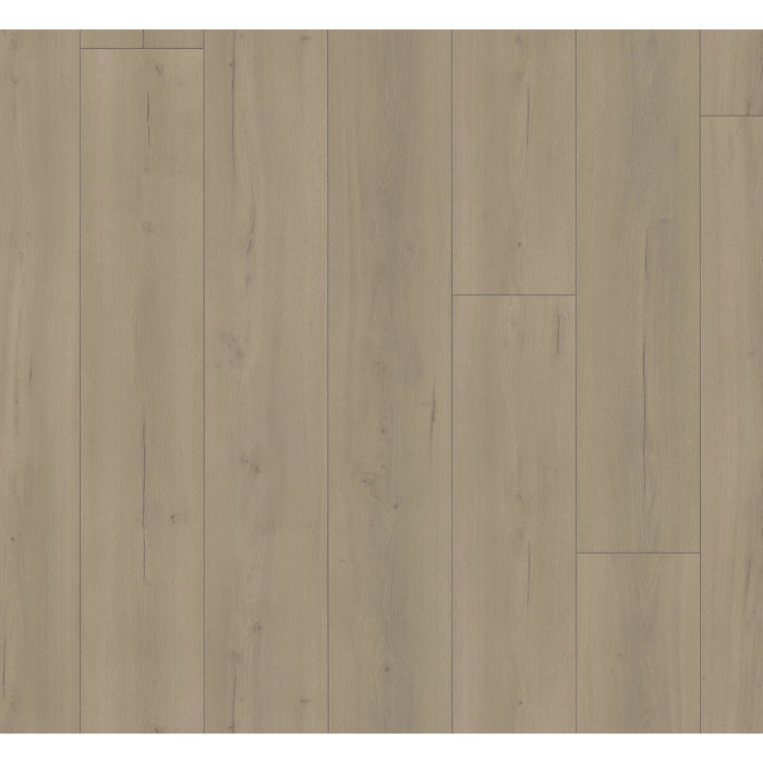Parador panel laminowany Trendtime 6 (4V) dąb loft szary 1730467