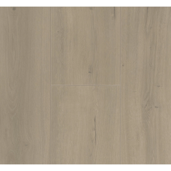 Parador panel laminowany Trendtime 6 (4V) dąb loft szary 1730467