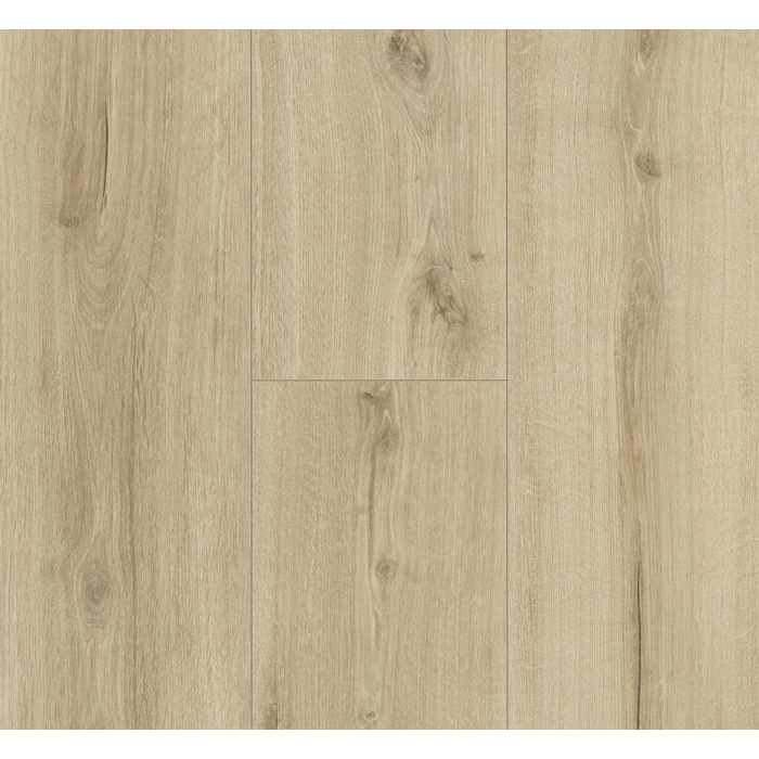 Parador panel laminowany Trendtime 6 (4V) dąb loft pure 1744709