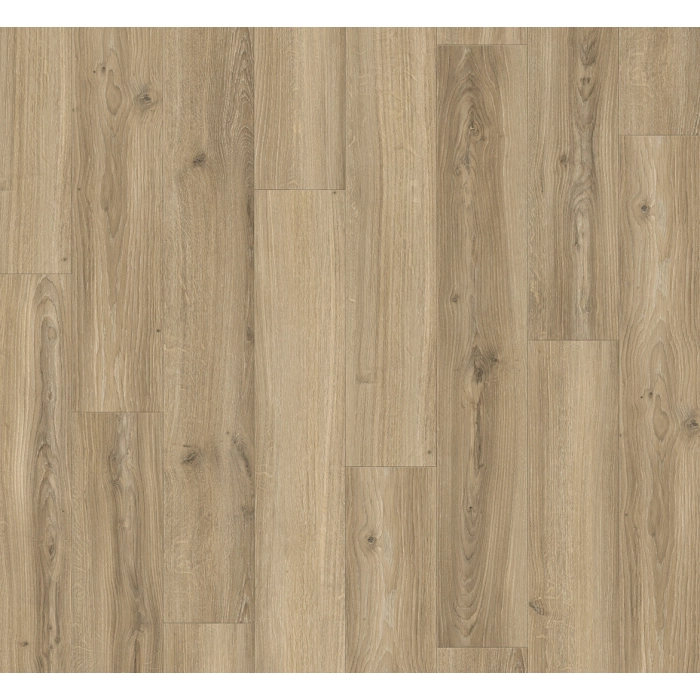 Parador panel laminowany BASIC 400 (4V) dąb studioline beżowy 1748183