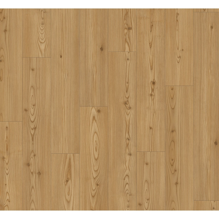 Parador panel laminowany CLASSIC 1050  (4V) modrzew jukon naturalny 1748721