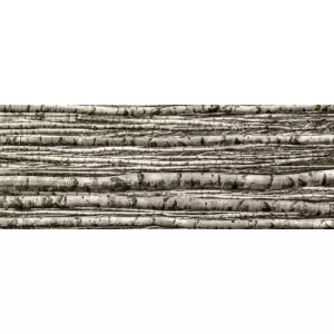 Tubądzin Dekor ścienny szklany 4-elementowy Birch 239,8x89,8