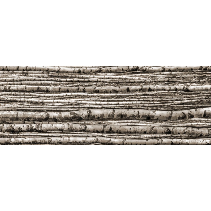 Tubądzin Dekor ścienny szklany 4-elementowy Birch 239,8x89,8
