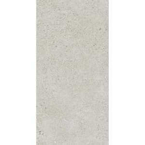 Paradyż Autrim Light grey Mat 29,8x59,8