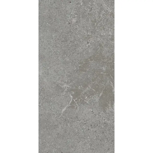 Paradyż Autrim Grey Mat 29,8x59,8