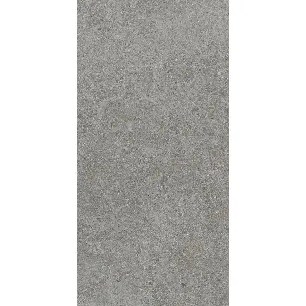 Paradyż Autrim Grey Mat 29,8x59,8