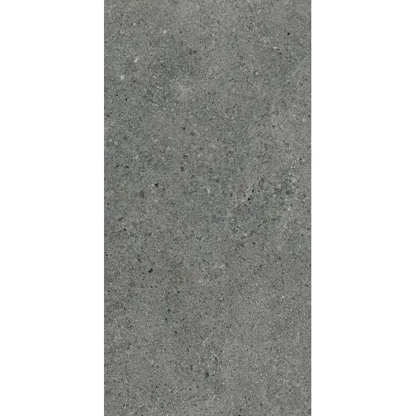 Paradyż Autrim Graphite Mat 29,8x59,8