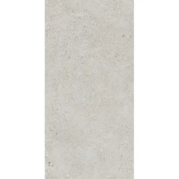 Paradyż Autrim Light grey Mat 29,8x59,8