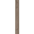Paradyż Wildland Naturale (twilight) Gres Szkl. Rekt. 19,8x119,8