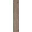 Paradyż Wildland Naturale (TWILIGHT) Gres Szkl. Rekt. 14,8x89,8