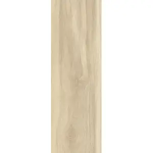 Paradyż Lightmood Vanilla Gres Szkl. 20x60