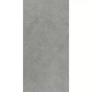 Paradyż Authority Grey Gres Szkl. Rekt. Mat 59,8x119,8