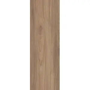 Paradyż Lightmood Honey Gres Szkl. 20x60