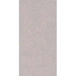 Paradyż Macroside Silver Gres Szkl. Rekt. Półpoler 59,8x119,8
