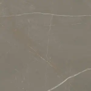 Paradyż Linearstone Taupe Gres Szkl. Rekt. Mat. 59,8x59,8