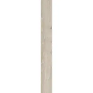 Paradyż Wildland Light Gres Szkl. Rekt. 19,8x119,8