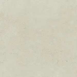 Paradyż Bergdust White Gres Szkl. Rekt. Mat. 59,8x59,8