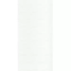 Paradyż Synergy Bianco Inserto 30x60