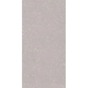 Paradyż Macroside Silver Gres Szkl. Rekt. Mat. 59,8x119,8