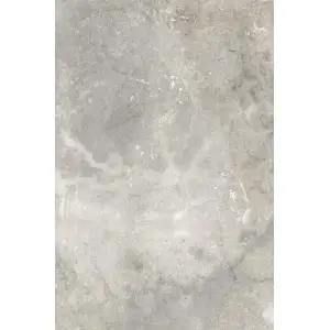 Paradyż Burlington Silver Gres Szkl. Rekt. Mat 59,8x89,8