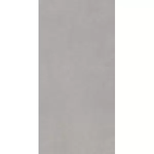 Paradyż Intero Silver Gres Rekt. Mat. 29,8x59,8