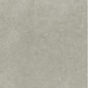 Paradyż Bergdust Grey Gres Szkl. Rekt. Mat. 59,8x59,8