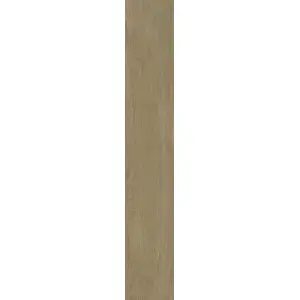 Paradyż Warmwood Gold Gres Szkl. Rekt. Struktura Mat. 19,8x119,8