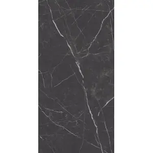 Paradyż Artstone Black Gres Szkl. Rekt. Mat. 59,8x119,8