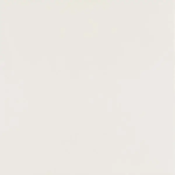 Paradyż Elegant Bianco Gres Szkl. Rekt. Mat. 59,8x59,8