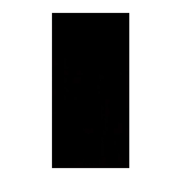 Paradyż Synergy Nero Ściana 30x60