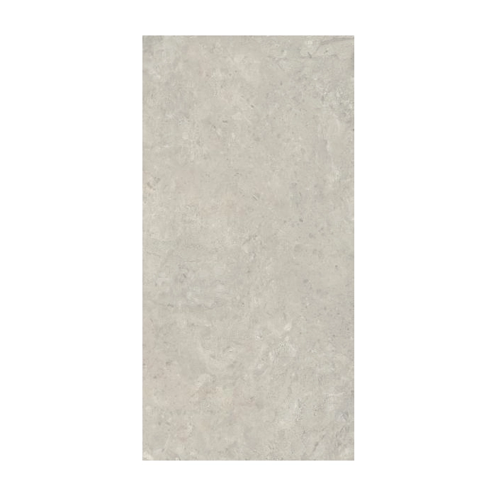 Paradyż Sedina Grey Gres Szkl. Rekt. Mat 59,8x119,8