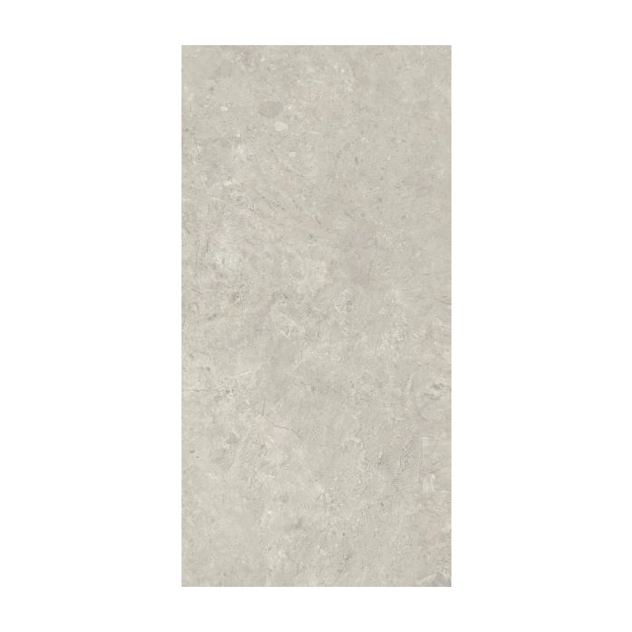 Paradyż Sedina Grey Gres Szkl. Rekt. Mat 59,8x119,8