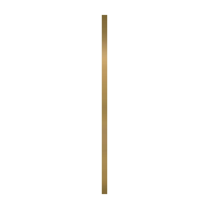 Paradyż Uniwersalna Listwa Metalowa Oro Połysk Profil 2x60
