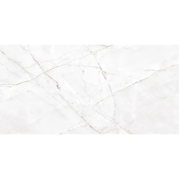 Egen Royal Valencia Silver Grey 60x120x8mm Rect (1,44) Polished