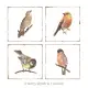 Fabresa Forli Birds Decor Mix 20x20 Dekoracja